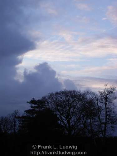 Lough Key Forest Park